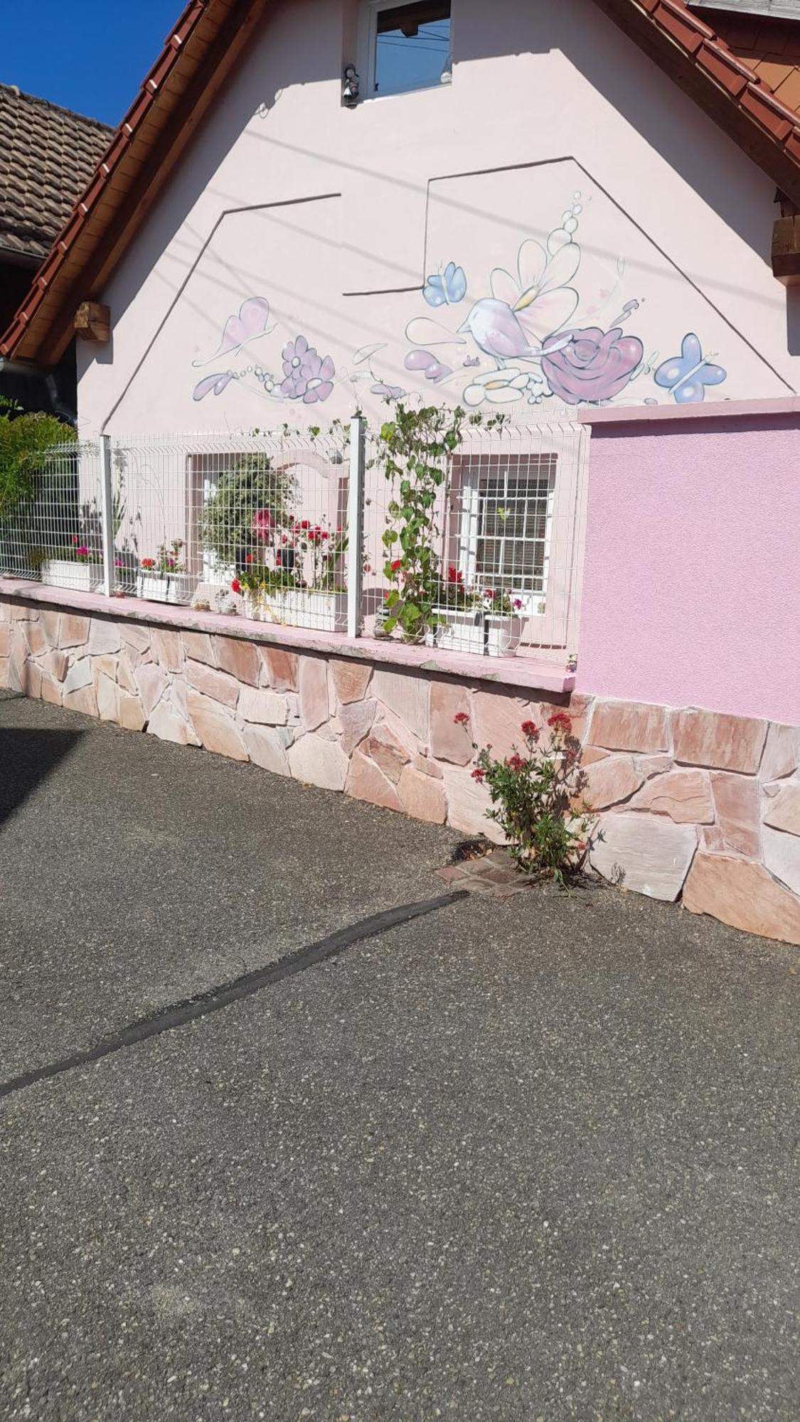 Olympe Villa Dessenheim Bagian luar foto