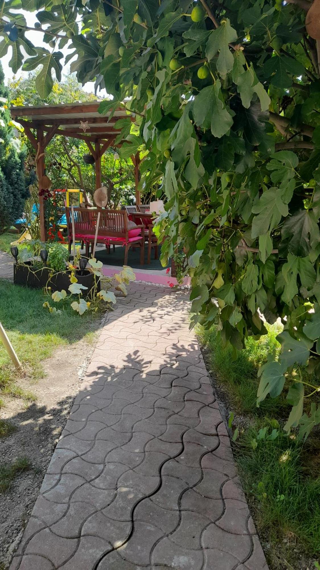 Olympe Villa Dessenheim Bagian luar foto
